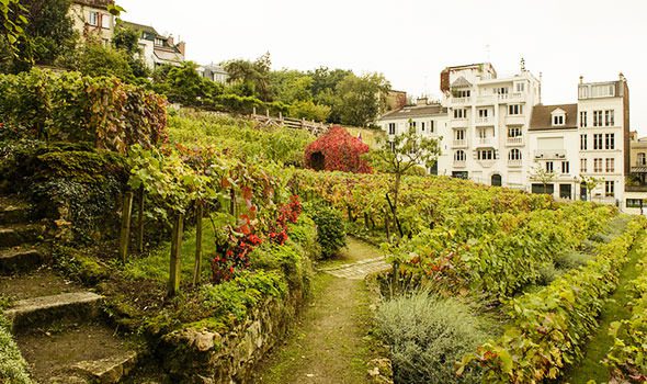 La Festa della Vendemmia di Montmartre a Parigi