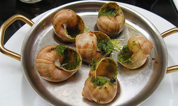 Escargot