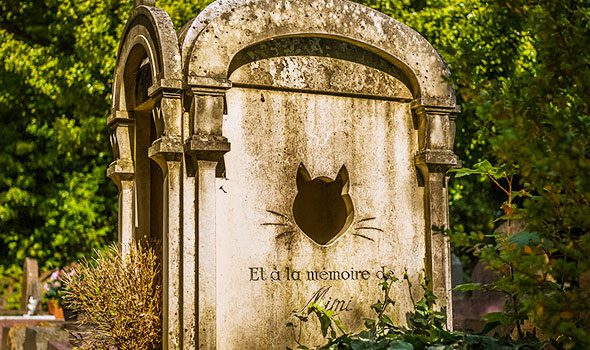 Le Cimetière des Chiens di Asnières-sur-Seine, il più antico cimitero per animali al mondo