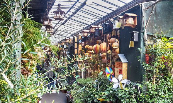 L’incantevole mercatino dei Fiori sull’île de la Cité di Parigi