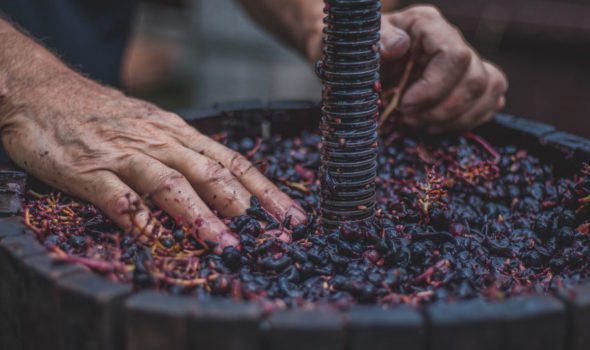 Il Museo del Vino di Parigi: un giro tra i sapori della tradizione francese