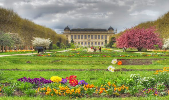 Jardin des Plantes