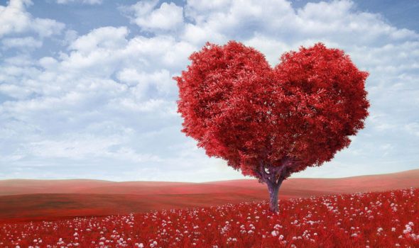 Le 25 più belle Frasi d’Amore in Francese da usare a San Valentino, ma non solo