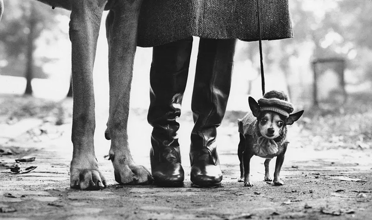 Elliott Erwitt in mostra al Museo Maillol di Parigi