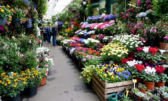 Marché aux fleurs Reine-Elizabeth-II